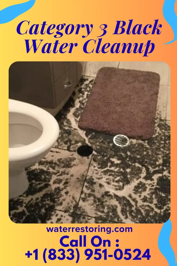 Category 3 Black Water Cleanup in St. Michaels, MD