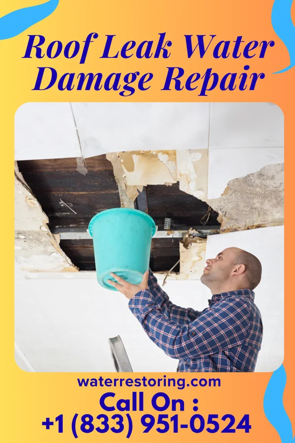 Roof Leak Water Damage Repair in St. Michaels, MD
