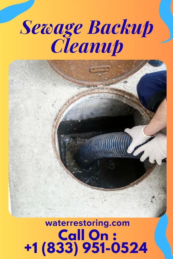 Sewage Backup Cleanup in St. Michaels, MD