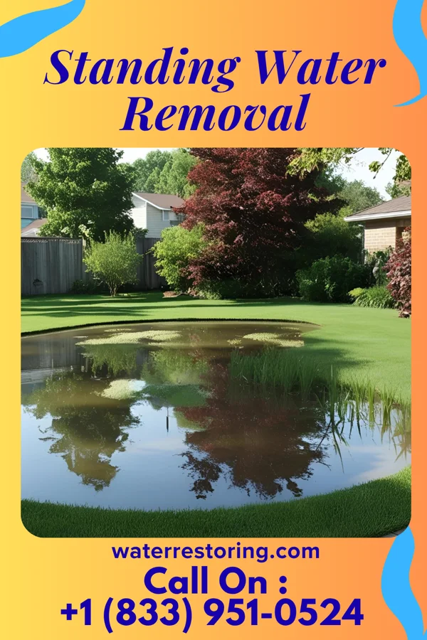 Standing Water Removal in St. Michaels, MD